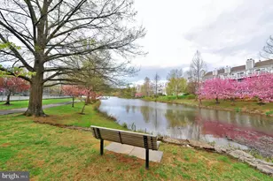 7756 New Providence Dr, Falls Church, VA 22042 - Photo 36