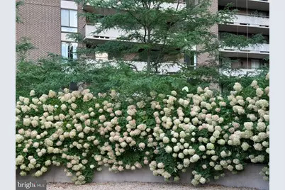 1800 Old Meadow Road #1520, McLean, VA 22102 - Photo 44