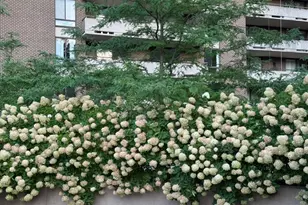 1800 Old Meadow Rd, McLean, VA 22102 - Photo 44