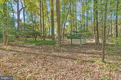 11181 Longwood Grove Drive, Reston, VA 20194 - Photo 90