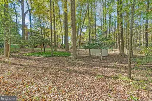 11181 Longwood Grove Dr, Reston, VA 20194 - Photo 90