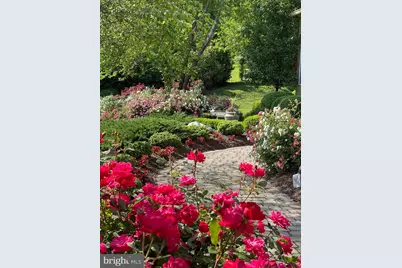 841 Leigh Mill Road, Great Falls, VA 22066 - Photo 66