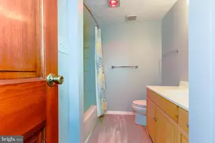 11517 Ivy Bush Ct, Reston, VA 20191 - Photo 44