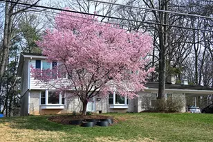 4817 Dodson Dr, Annandale, VA 22003 - Photo 2