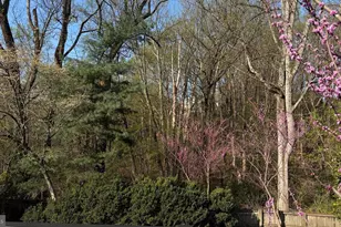 6309 Mori St, McLean, VA 22101 - Photo 2