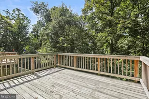 6279 Alforth Ave, Alexandria, VA 22315 - Photo 6