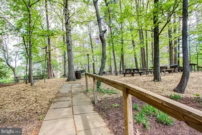 5902 Mount Eagle Drive #1601, Alexandria, VA 22303 - Photo 44