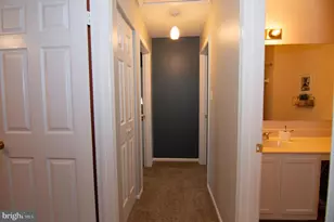 8230 La Faye Ct, Alexandria, VA 22306 - Photo 50