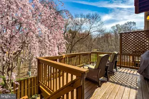 7923 Valleyfield Dr, Springfield, VA 22153 - Photo 22