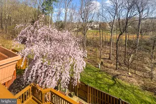 7923 Valleyfield Dr, Springfield, VA 22153 - Photo 24