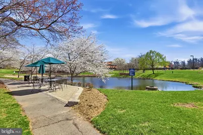 4965 Longmire Way, Chantilly, VA 20151 - Photo 34