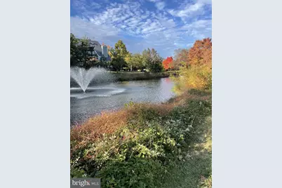 7004 Irwell Lane #12A, Alexandria, VA 22315 - Photo 12
