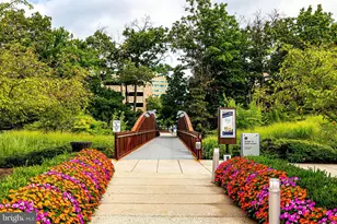 1720 Lake Shore Crest Dr, Reston, VA 20190 - Photo 36