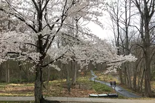 8625 Ordinary Way, Annandale, VA 22003 - Photo 46