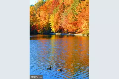 5482 Midship Court, Burke, VA 22015 - Photo 42