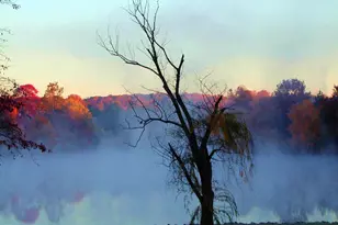 5482 Midship Ct, Burke, VA 22015 - Photo 44