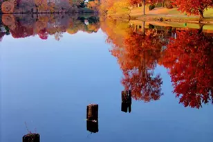 5482 Midship Ct, Burke, VA 22015 - Photo 40