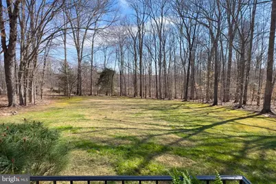 7427 Maple Branch Road, Clifton, VA 20124 - Photo 30