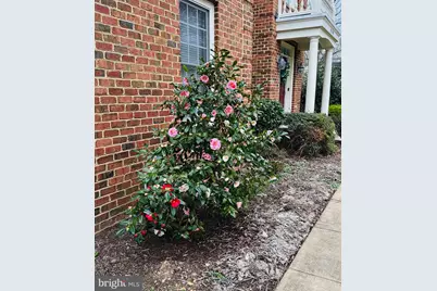 7119 Coventry Road, Alexandria, VA 22306 - Photo 62