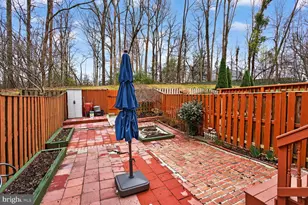 6427 Old Scotts Ct, Springfield, VA 22152 - Photo 16