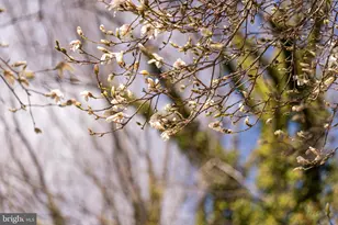 9508 Brian Jac Ln, Great Falls, VA 22066 - Photo 48