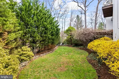 644 Live Oak Drive, McLean, VA 22101 - Photo 36