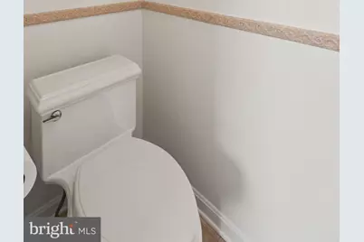 813 Lunenburg Road, Great Falls, VA 22066 - Photo 54