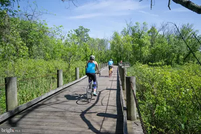 8603 Cyrus Place, Alexandria, VA 22308 - Photo 88