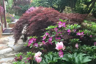 9720 Five Oaks Rd, Fairfax, VA 22031 - Photo 74