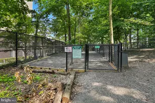 5904 Mt Eagle Dr, Alexandria, VA 22303 - Photo 86