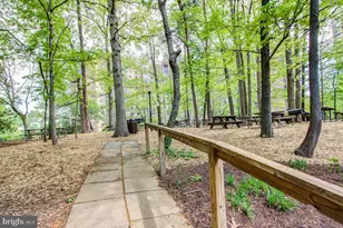 5904 Mt Eagle Dr, Alexandria, VA 22303 - Photo 70