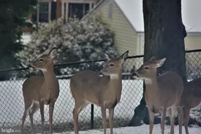 [Address not provided], Vienna, VA 22181 - Photo 38