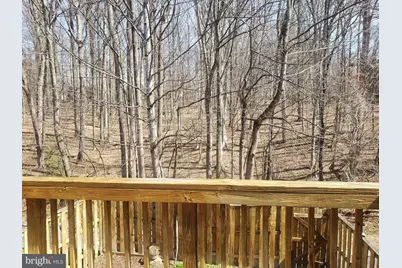 7341 Golden Horseshoe Court, Springfield, VA 22153 - Photo 18