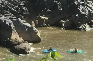 1505 Snughill Ct, Vienna, VA 22182 - Photo 32