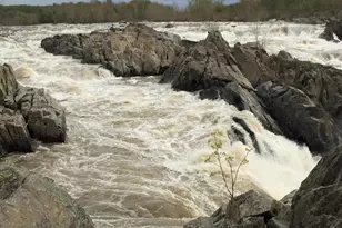 1505 Snughill Ct, Vienna, VA 22182 - Photo 34