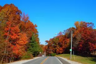 8282 Morning Dew Ct, Springfield, VA 22153 - Photo 58