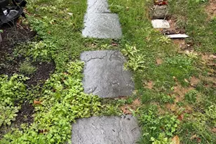 8514 Wild Spruce Dr, Springfield, VA 22153 - Photo 14