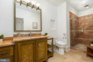 532 Walker Rd, Great Falls, VA 22066 - Photo 44