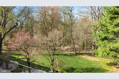 532 Walker Rd, Great Falls, VA 22066 - Photo 86
