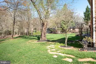 532 Walker Rd, Great Falls, VA 22066 - Photo 86