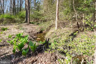 532 Walker Rd, Great Falls, VA 22066 - Photo 88