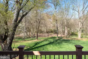 532 Walker Rd, Great Falls, VA 22066 - Photo 94