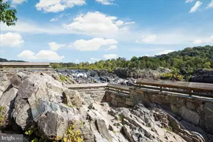 532 Walker Rd, Great Falls, VA 22066 - Photo 106