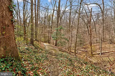 8570 Gwynedd Way, Springfield, VA 22153 - Photo 30