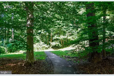 8570 Gwynedd Way, Springfield, VA 22153 - Photo 34