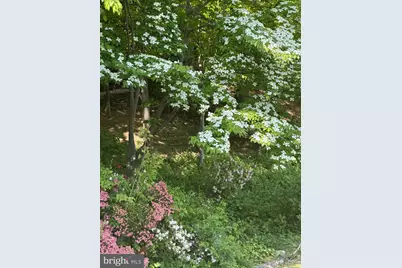6110 Harmon Place, Springfield, VA 22152 - Photo 12
