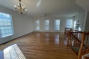 6256 Shackelford Terrace, Alexandria, VA 22312 - Photo 14