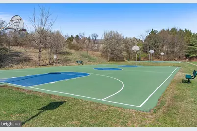 6011 Curtier Drive #D, Alexandria, VA 22310 - Photo 30