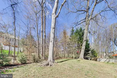 8404 Chillum Court, Springfield, VA 22153 - Photo 56