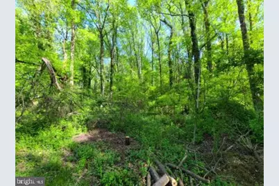 Honeysuckle Trl, Lorton, VA 22079 - Photo 2
